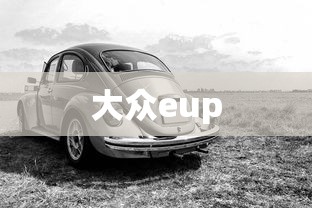 大众eup  第1张