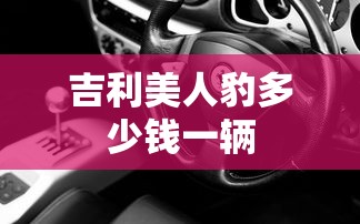 吉利美人豹多少钱一辆  第1张