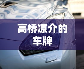 高桥凉介的车牌  第1张