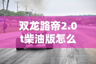 双龙路帝2.0t柴油版怎么样  第1张