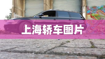 上海轿车图片  第1张