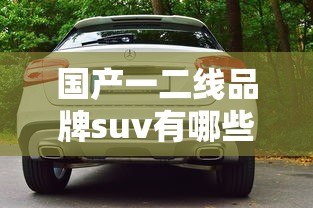 国产一二线品牌suv有哪些  第1张