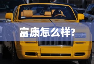 富康怎么样?  第1张