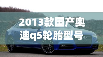 2013款国产奥迪q5轮胎型号  第1张