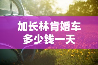 加长林肯婚车多少钱一天  第1张