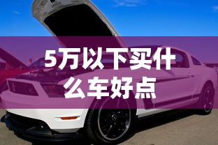 福克斯svp限量版  第1张