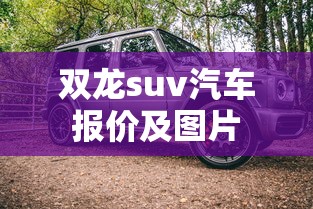双龙suv汽车报价及图片  第1张