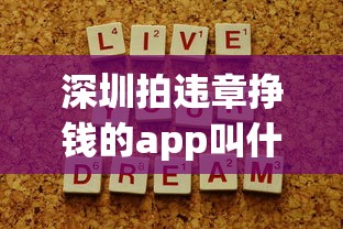 深圳拍违章挣钱的app叫什么  第1张