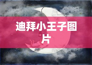 迪拜小王子图片  第1张