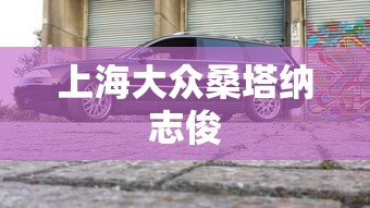 上海大众桑塔纳志俊  第1张