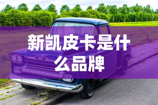 新凯皮卡是什么品牌  第1张