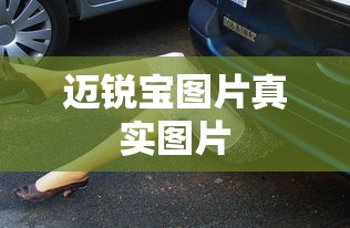 迈锐宝图片真实图片  第1张