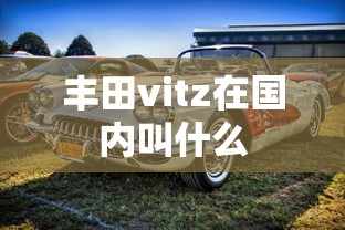 丰田vitz在国内叫什么  第1张