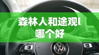 森林人和途观l哪个好  第1张
