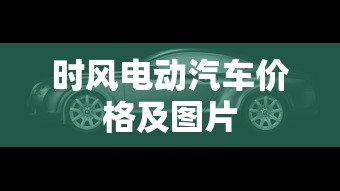 时风电动汽车价格及图片  第1张