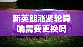 新英朗涨紧轮异响需要更换吗  第1张