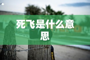 死飞是什么意思  第1张