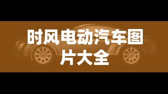 时风电动汽车图片大全  第1张