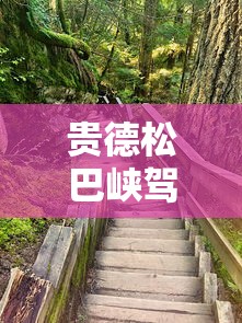 贵德松巴峡驾车路线  第1张