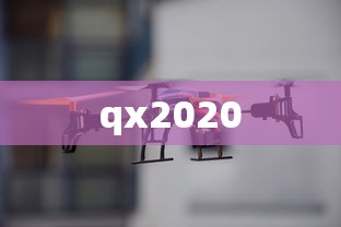 qx2020  第1张