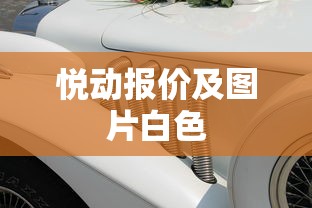长丰飞腾二手车  第1张