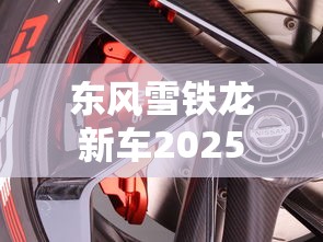 东风雪铁龙新车2025  第1张