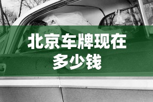北京车牌现在多少钱  第1张