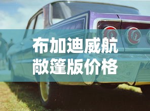 布加迪威航敞篷版价格  第1张