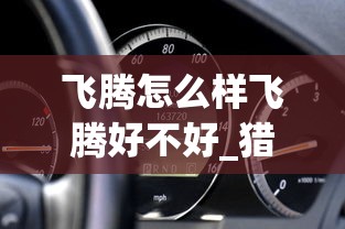飞腾怎么样飞腾好不好_猎豹飞腾口碑  第1张