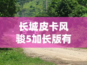 长城皮卡风骏5加长版有多长  第1张