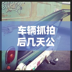 车辆抓拍后几天公布  第1张