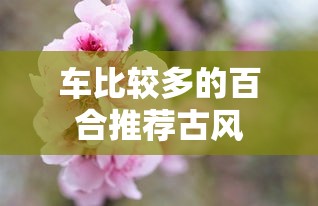 车比较多的百合推荐古风  第1张