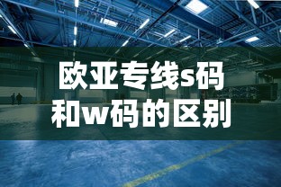 欧亚专线s码和w码的区别 物流速度实测-世游圈资讯站  第1张