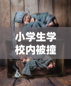 小学生学校内被撞死  第1张