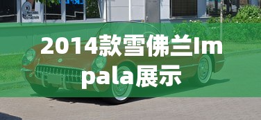 2014款雪佛兰Impala展示  第1张