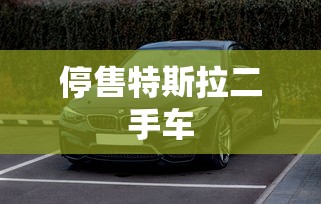 停售特斯拉二手车  第1张