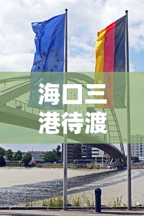 海口三港待渡车辆溢出路面?  第1张