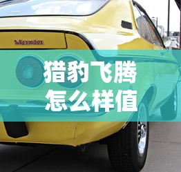 猎豹飞腾怎么样值得买吗  第1张