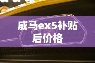 威马ex5补贴后价格  第1张
