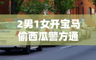 2男1女开宝马偷西瓜警方通报  第1张