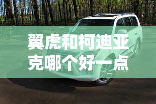 翼虎和柯迪亚克哪个好一点  第1张