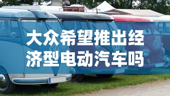 大众希望推出经济型电动汽车吗  第1张