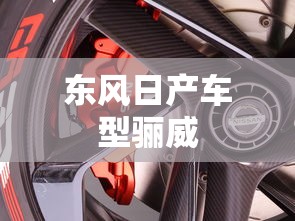 东风日产车型骊威  第1张