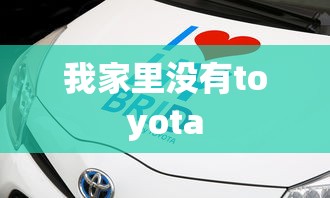 我家里没有toyota  第1张