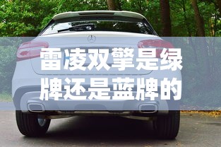 雷凌双擎是绿牌还是蓝牌的  第1张