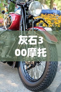 灰石300摩托车价格  第1张