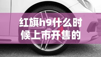 红旗h9什么时候上市开售的  第1张