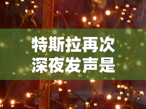 特斯拉再次深夜发声是真的吗  第1张