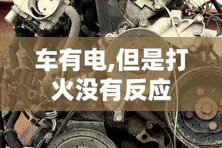 车有电,但是打火没有反应  第1张
