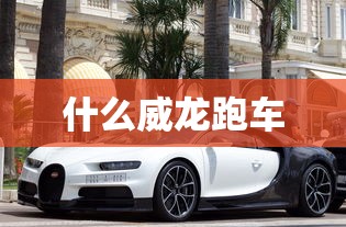 什么威龙跑车  第1张